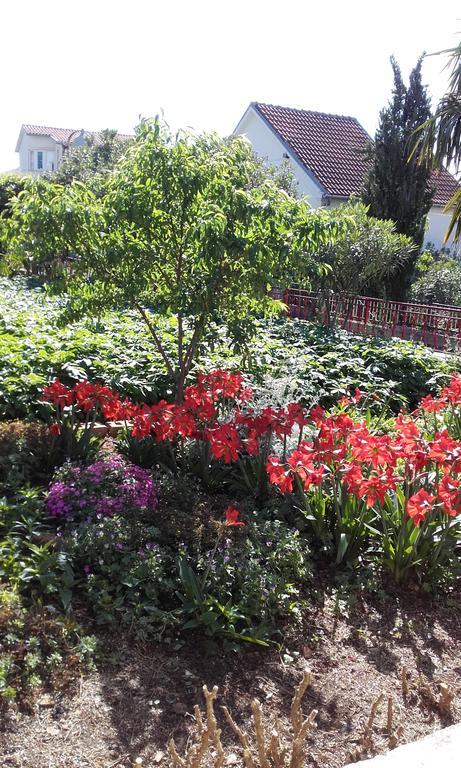 Villa Jozica ムルテル エクステリア 写真